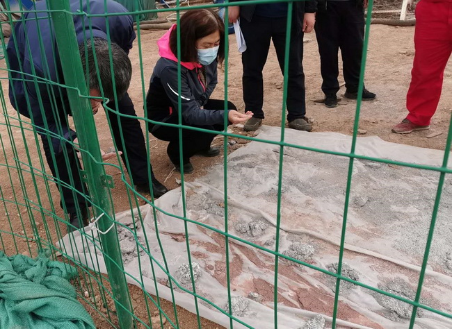 2 1_調(diào)整大小.jpg